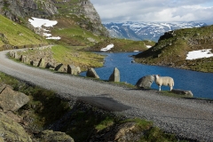 norway-33